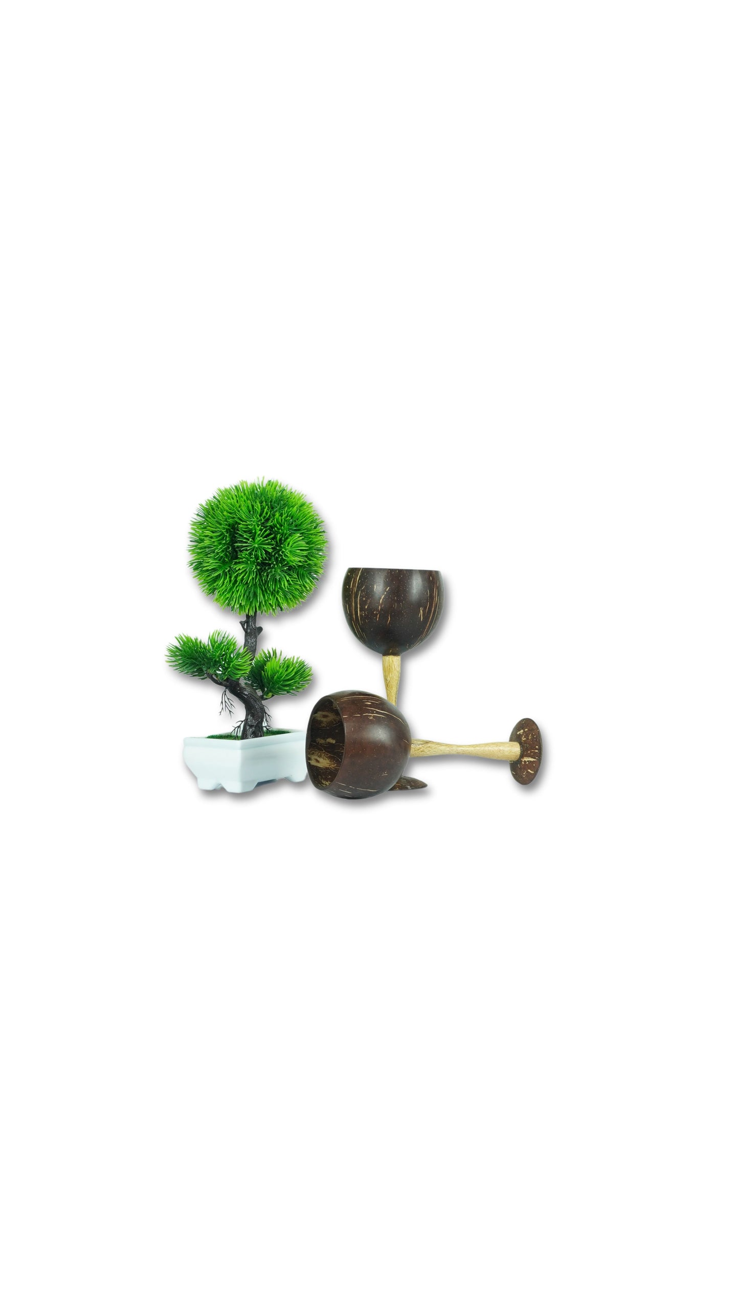 Handmade Coconut Shell Wine & Juice Cup (Pack of 2)