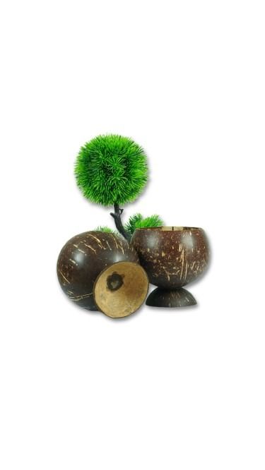 Handcrafted Coconut Shell Dessert Bowl  (pack of 2)